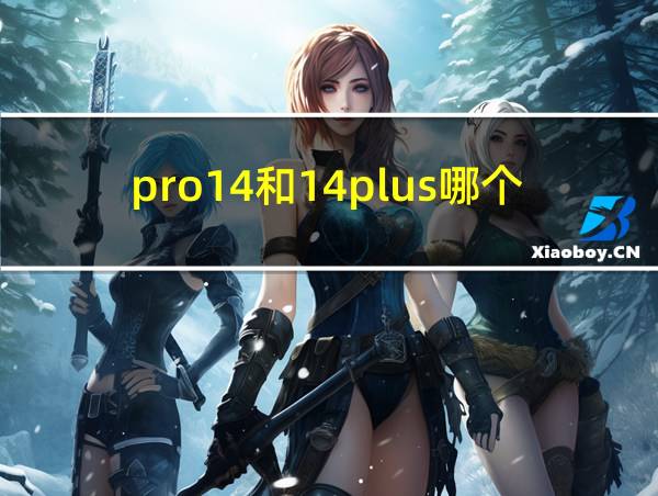 pro14和14plus哪个香的相关图片