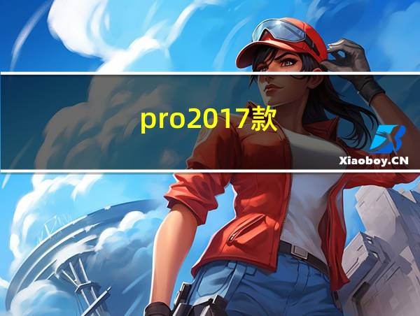 pro2017款的相关图片