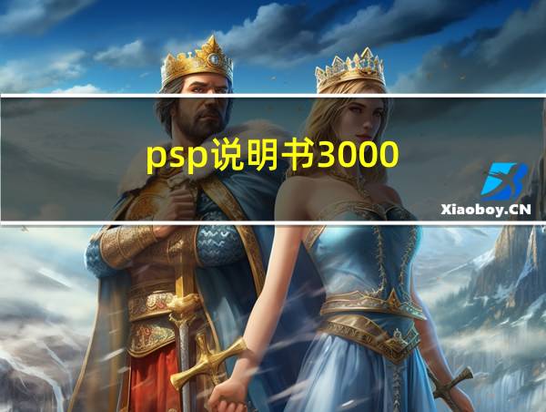 psp说明书3000的相关图片