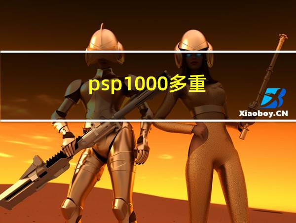 psp1000多重的相关图片