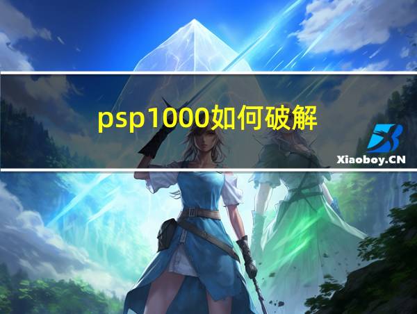 psp1000如何破解的相关图片