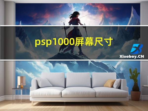 psp1000屏幕尺寸的相关图片