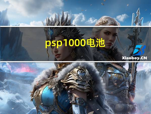 psp1000电池的相关图片