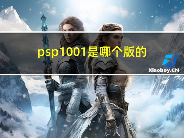 psp1001是哪个版的的相关图片