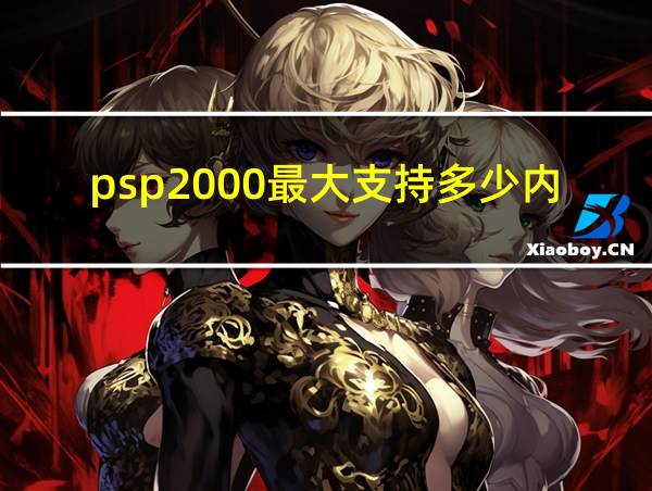 psp2000最大支持多少内存的相关图片