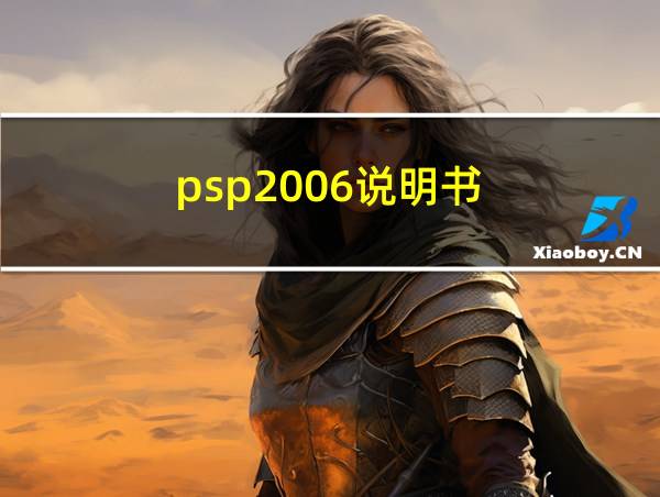 psp2006说明书的相关图片