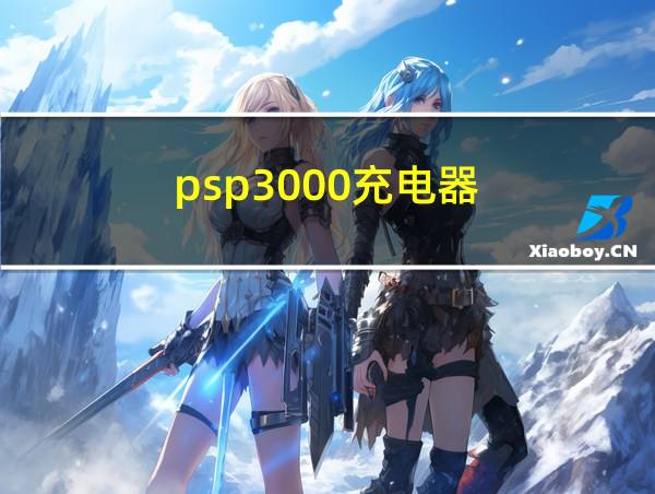 psp3000充电器的相关图片