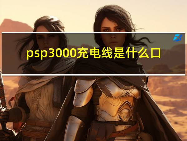 psp3000充电线是什么口的相关图片