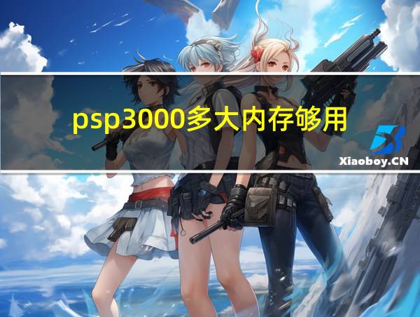 psp3000多大内存够用的相关图片