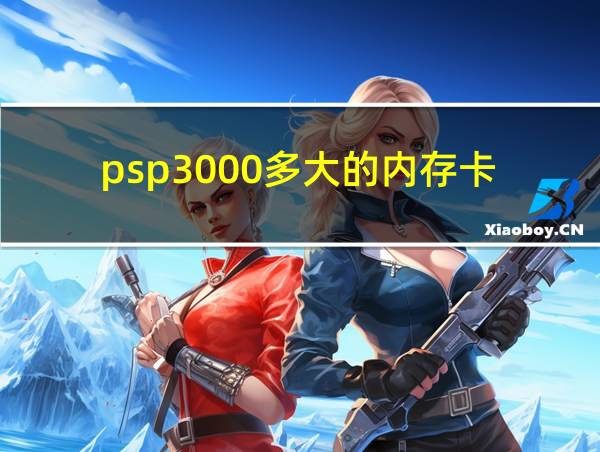 psp3000多大的内存卡的相关图片