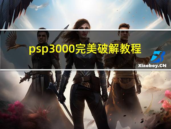 psp3000完美破解教程的相关图片