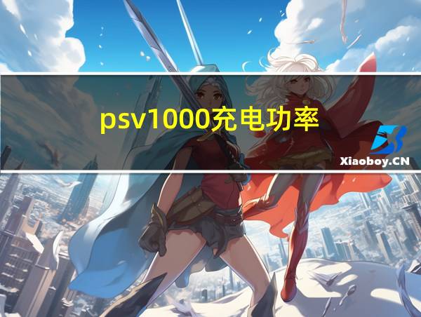 psv1000充电功率的相关图片