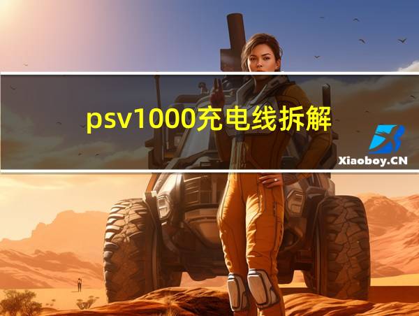 psv1000充电线拆解的相关图片