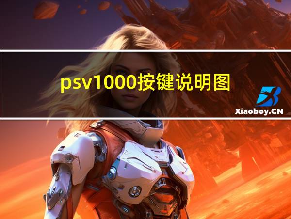 psv1000按键说明图的相关图片