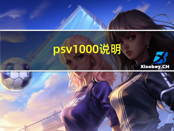 psv1000说明的相关图片