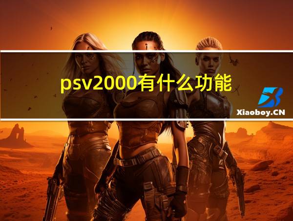 psv2000有什么功能的相关图片