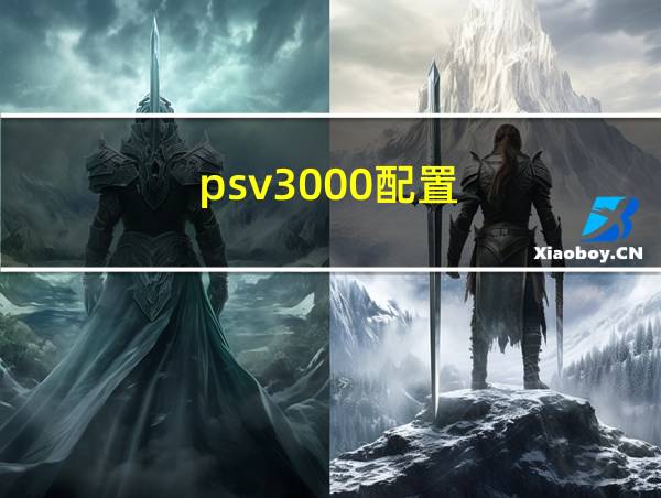 psv3000配置的相关图片