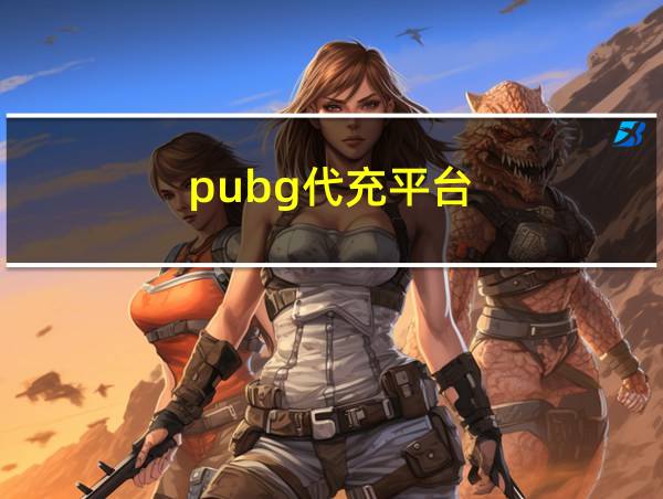 pubg代充平台的相关图片