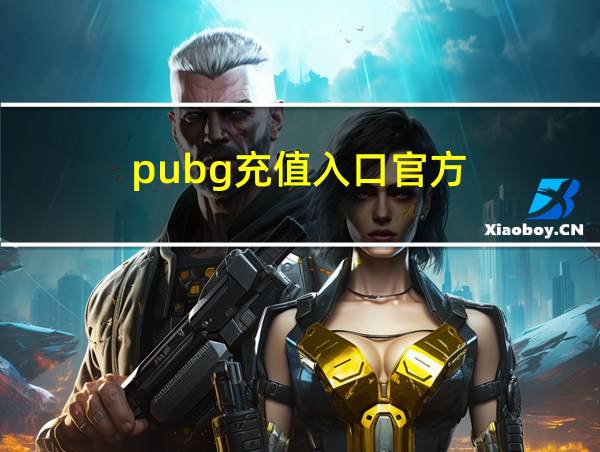 pubg充值入口官方的相关图片