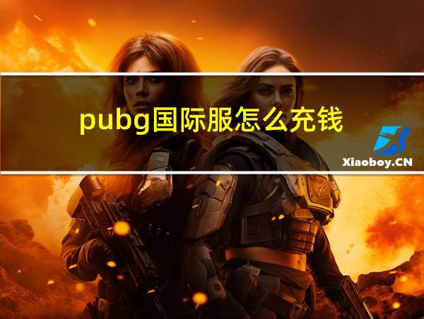 pubg国际服怎么充钱的相关图片