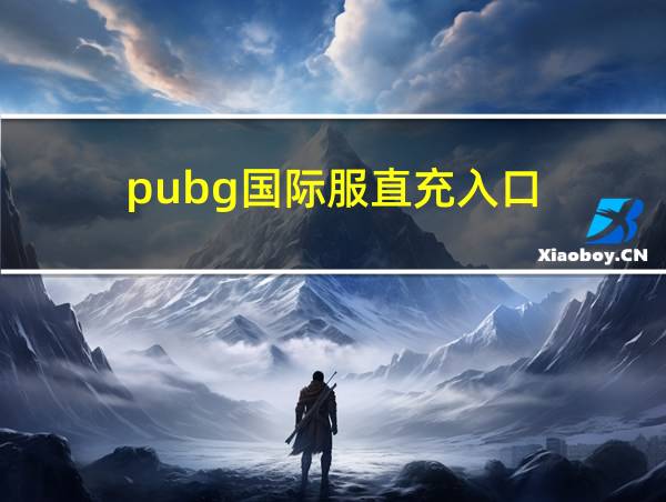 pubg国际服直充入口的相关图片