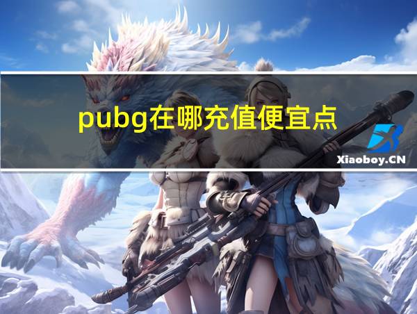 pubg在哪充值便宜点的相关图片