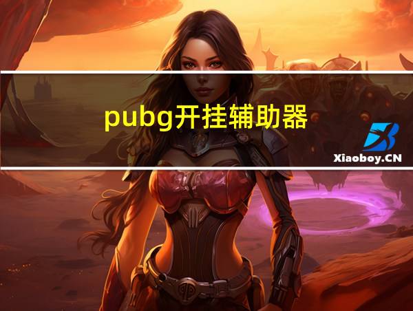 pubg开挂辅助器的相关图片