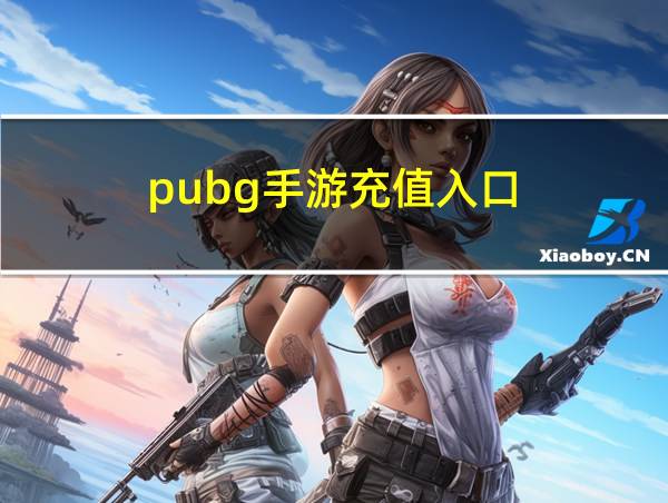 pubg手游充值入口的相关图片