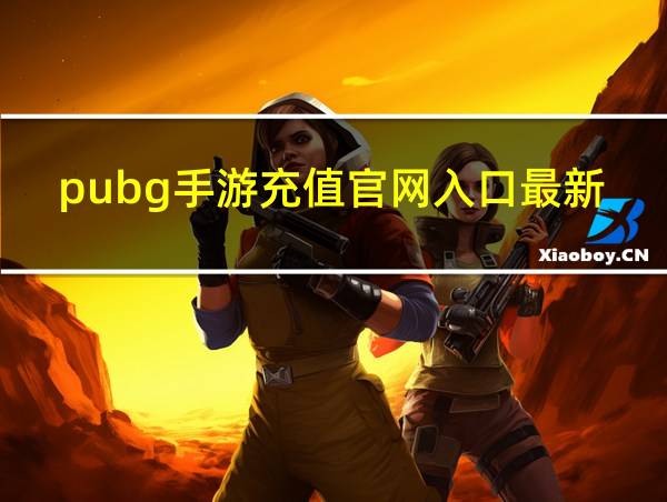 pubg手游充值官网入口最新的相关图片