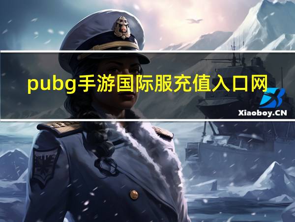 pubg手游国际服充值入口网站的相关图片