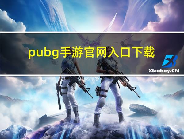 pubg手游官网入口下载的相关图片