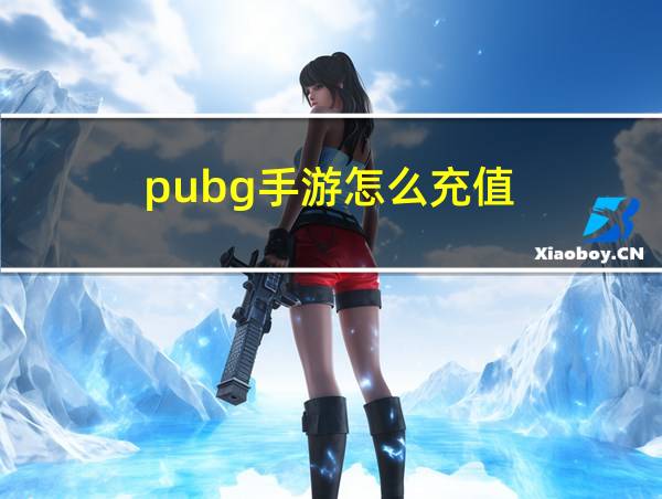 pubg手游怎么充值的相关图片