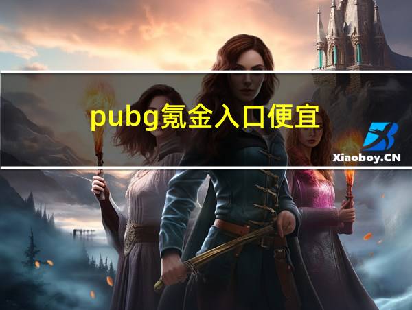 pubg氪金入口便宜的相关图片