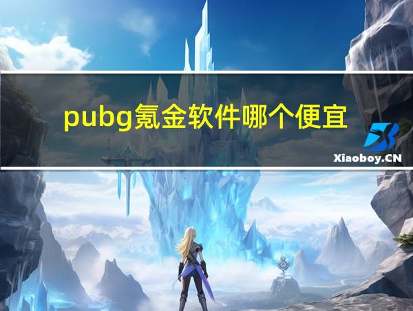 pubg氪金软件哪个便宜的相关图片