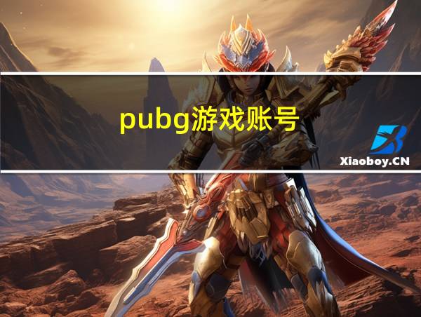 pubg游戏账号的相关图片