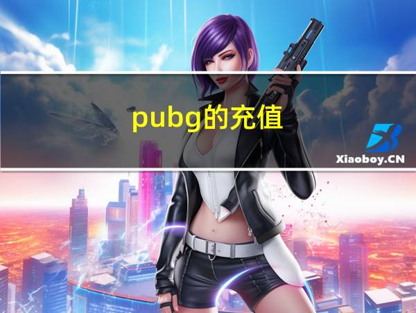 pubg的充值的相关图片