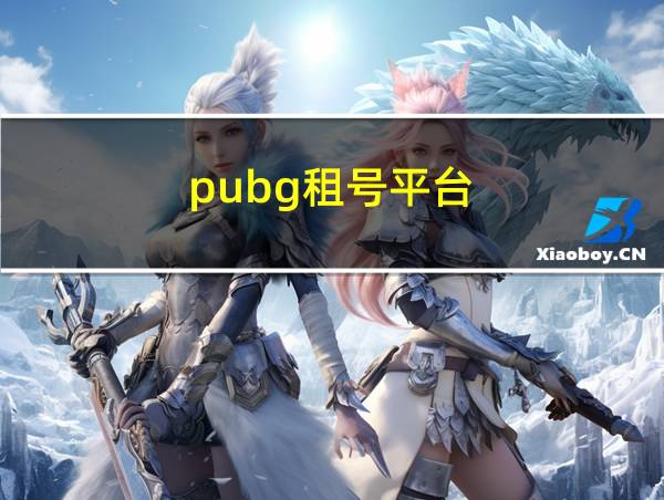 pubg租号平台的相关图片