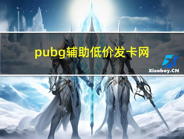 pubg辅助低价发卡网的相关图片