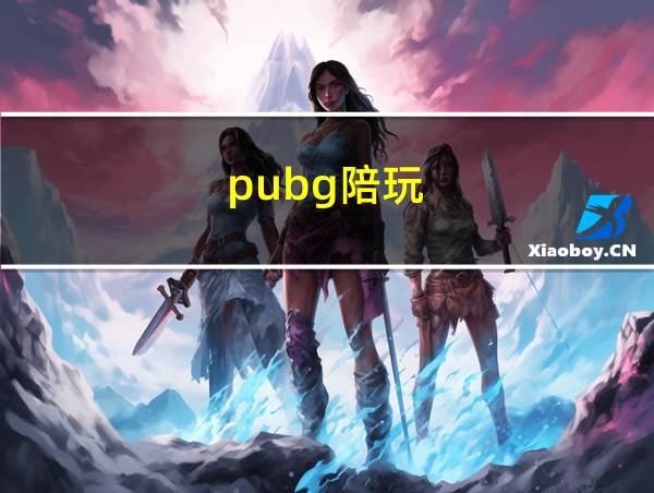 pubg陪玩的相关图片