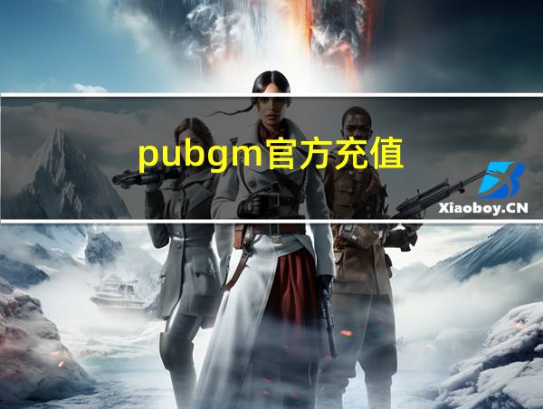 pubgm官方充值的相关图片