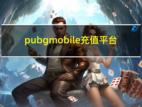 pubgmobile充值平台的相关图片