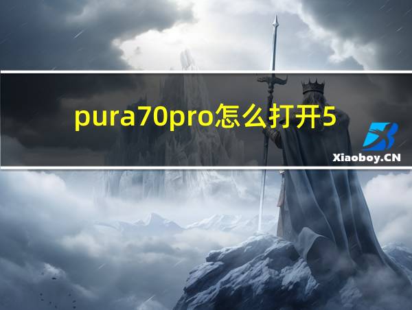 pura70pro怎么打开5g网络的相关图片