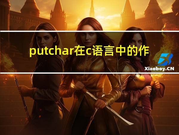 putchar在c语言中的作用的相关图片