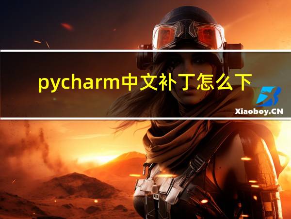 pycharm中文补丁怎么下的相关图片