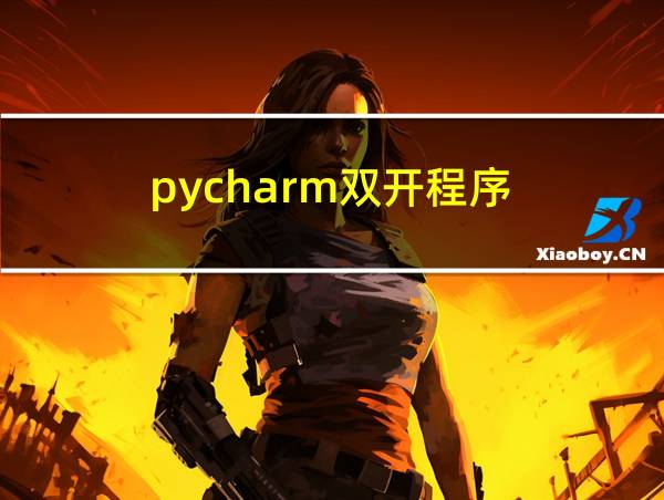 pycharm双开程序的相关图片