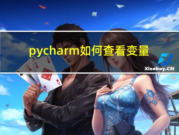 pycharm如何查看变量的相关图片