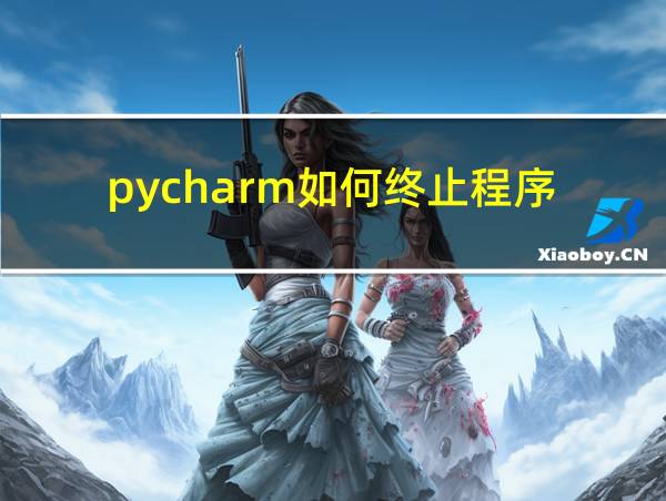 pycharm如何终止程序的相关图片