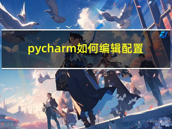 pycharm如何编辑配置的相关图片