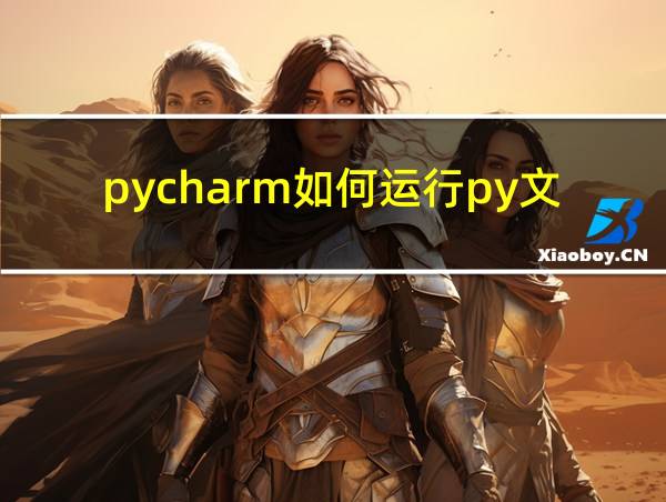 pycharm如何运行py文件的相关图片