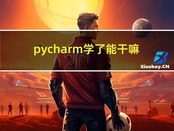 pycharm学了能干嘛的相关图片